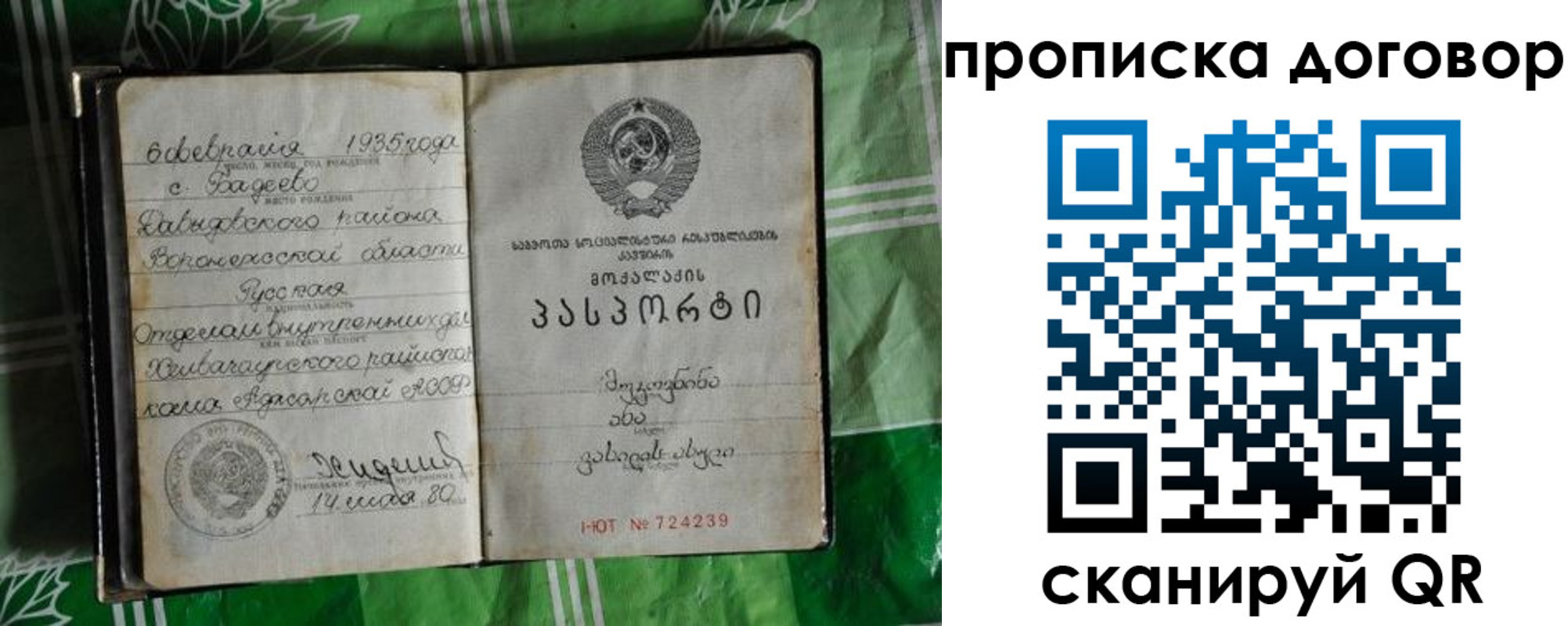 прописка в Тынде