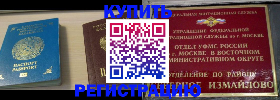 прописка гарантия в Тынде